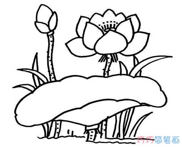 漂亮荷花荷叶的画法简单漂亮_莲花简笔画图片