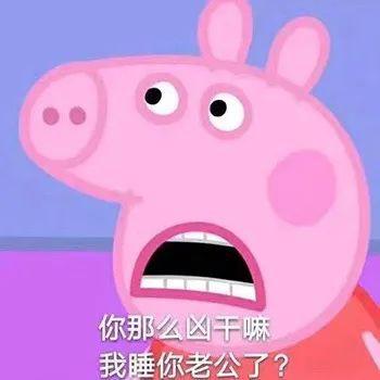 小猪佩奇表情包原谅在下不善言辞只想揍你