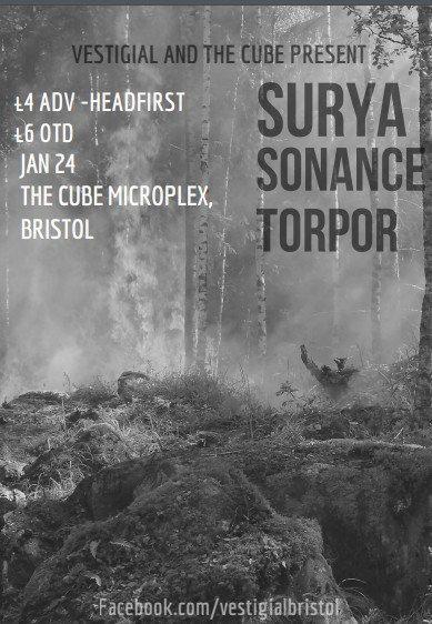 vestigial bristol and the cube microplex presents