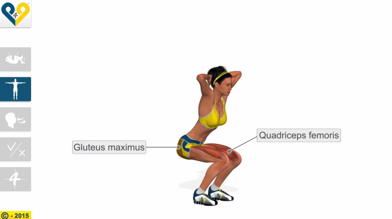文章 知识专栏 【跑步好影片】翘臀必备动作 - 深蹲 gluteus maximus