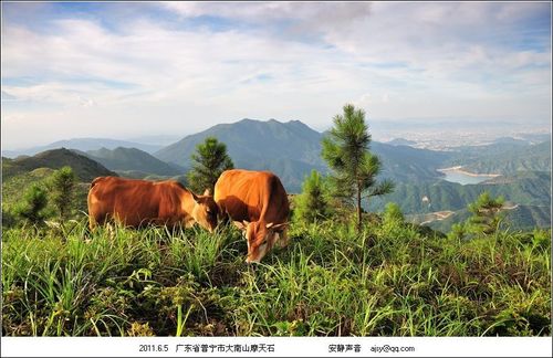 日志