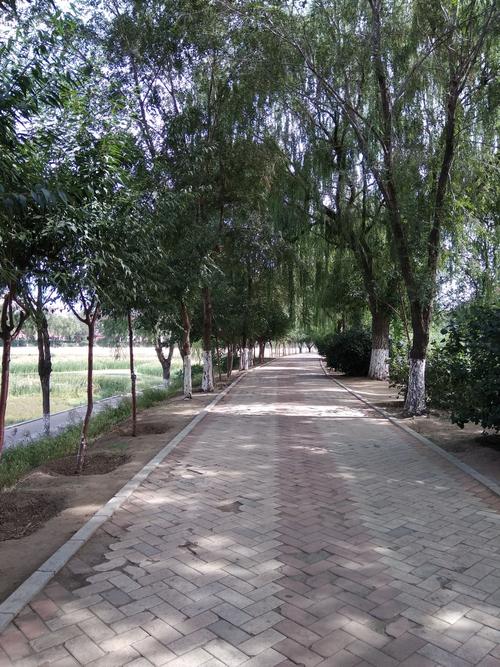 20180916阜新街景