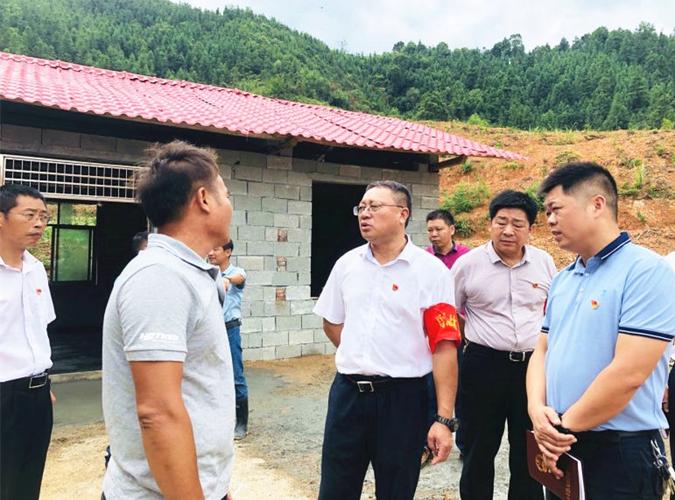 永丰县委副书记,县长娄致文开展林长制巡林工作