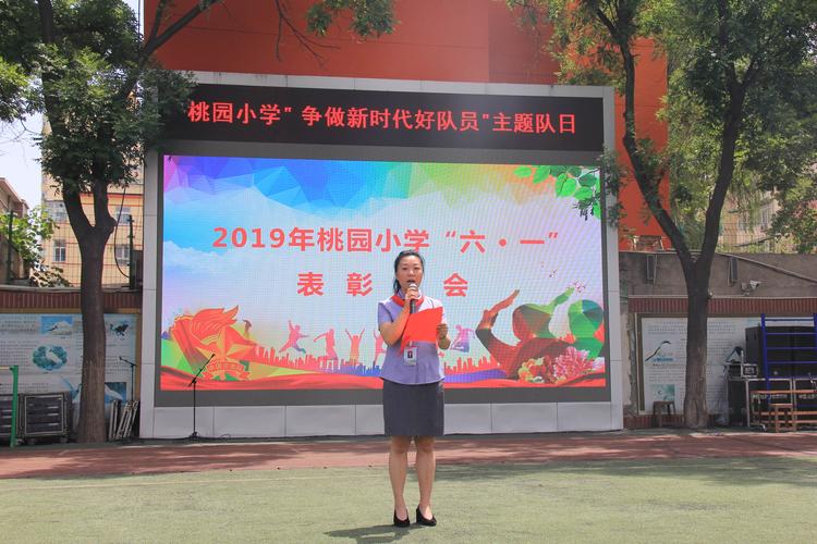 太原市迎泽区桃园小学"争做新时代好队员"主题队日