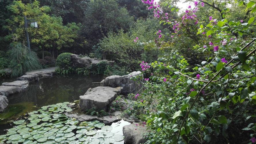 重庆照母山森林公园好玩吗,重庆照母山森林公园景点样