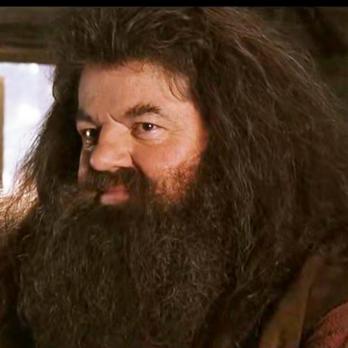 头像截图 (表情和表演超级到位)先来一张海格抱哈2从这里开始用海格