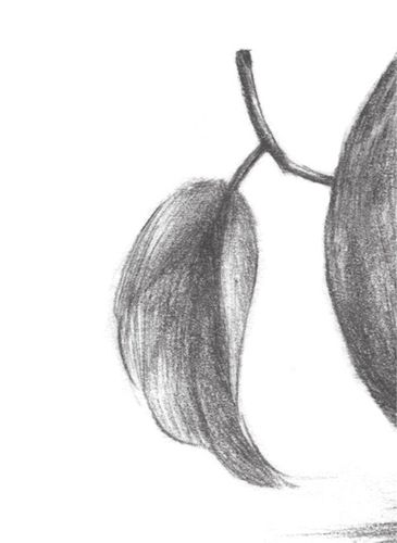 素描橙子的绘画教程(5)