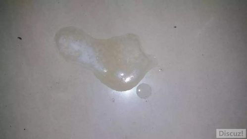 猫咪呕吐透明液体或泡沫可能是什么原因?