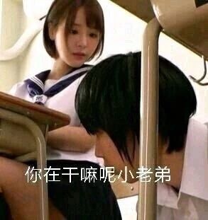 搞笑表情包图片小老弟你趴地上愁啥呢