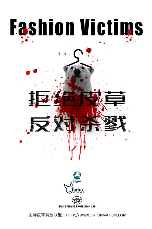 公益广告          