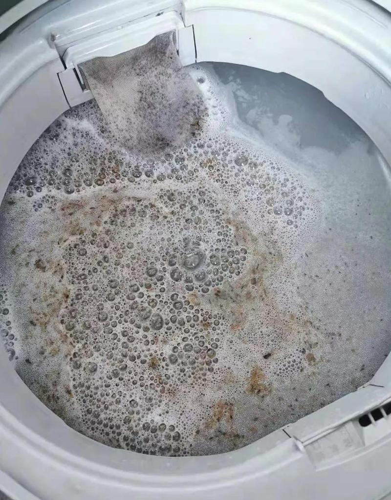 洗衣机半年不清洗简直比马桶还脏