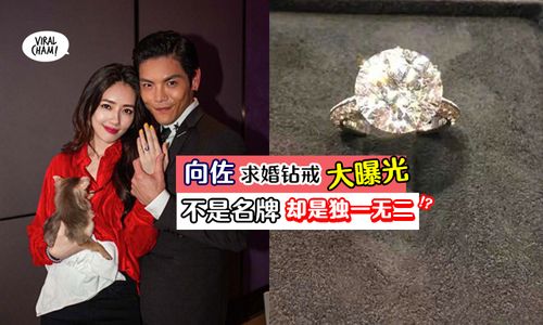 向佐跟郭碧婷的求婚钻戒大曝光!