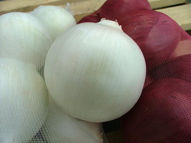 白洋葱/500g