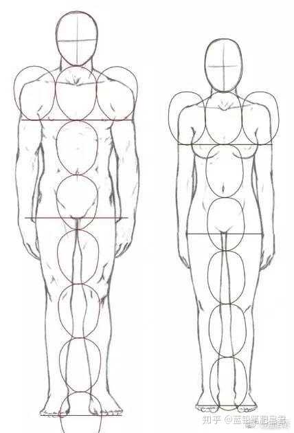 虽然我们都知道常规的人体比例,用头长去衡量人体的比例关系.