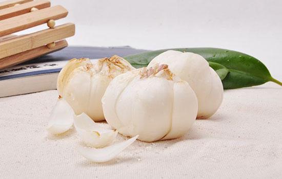 新鲜百合怎么保存