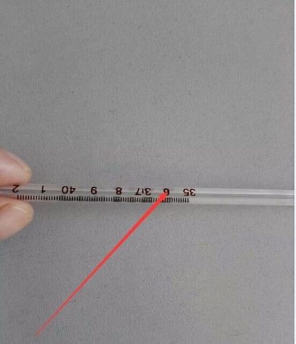 体温计怎么看度数