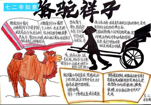 书香润泽人生——七年级语文阅读《骆驼祥子》手抄报展示