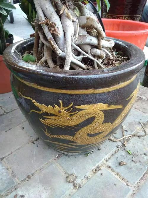 渭头河陶瓷史上的辉煌——那些龙缸