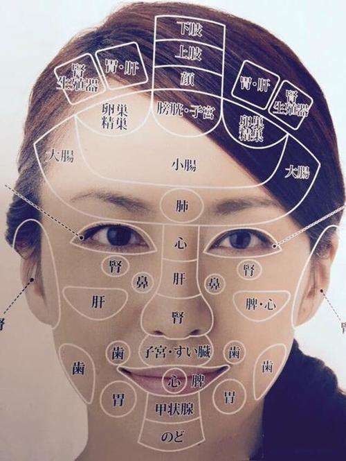 外面长什么痘 里面就有什么病!