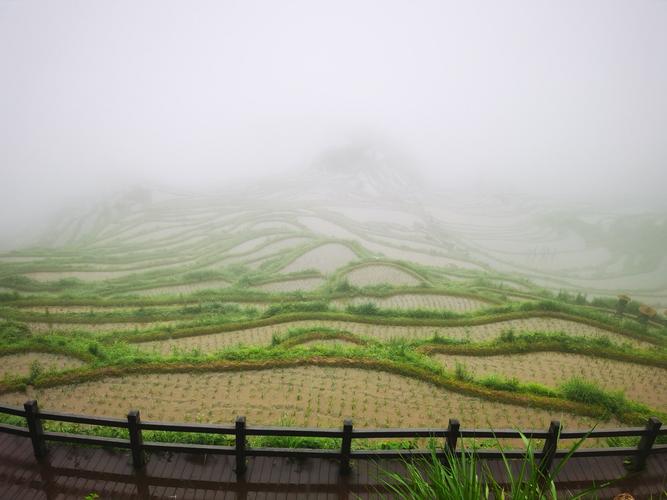 丽水千年云和梯田