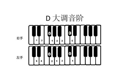 音阶弹奏指法口诀