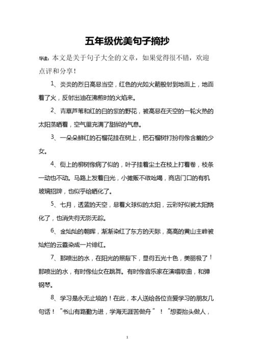 (2020年整理)五年级优美句子摘抄.doc