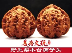 野生九龙梨木台狮子头 翻天印马蹄粗筋边48肚50重54马蹄11