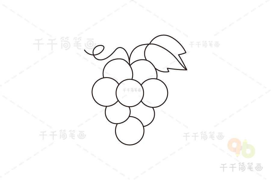 葡萄的简笔画