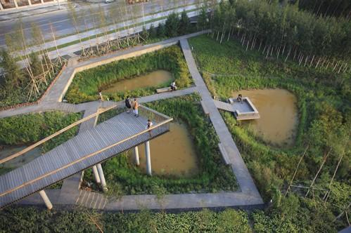 雨洪公园:哈尔滨群力国家城市湿地