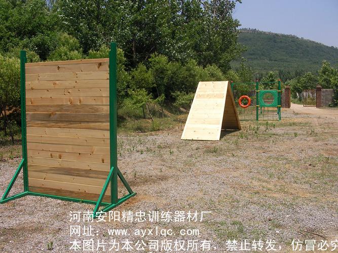 供应 训犬器材 训犬用品 犬障碍训练器材 狗狗训练器材