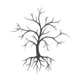 树有树根的简笔画