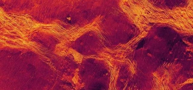 金星表面有一个粘稠的流动地幔