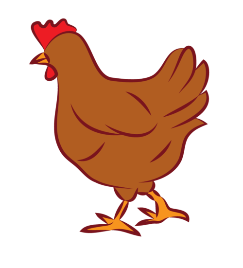 卡通母鸡图片大全