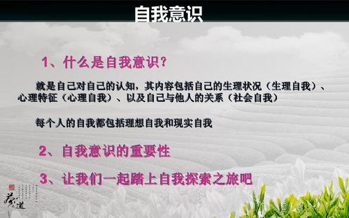 2,自我意识的重要性 3,让我们一起踏上自我探索之旅吧