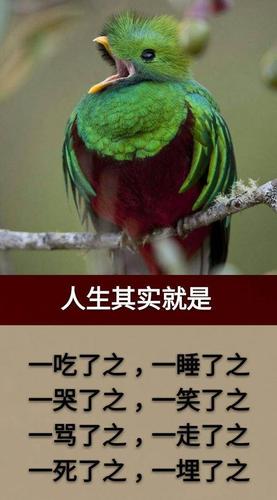 人生就是一笑了之,一哭了之