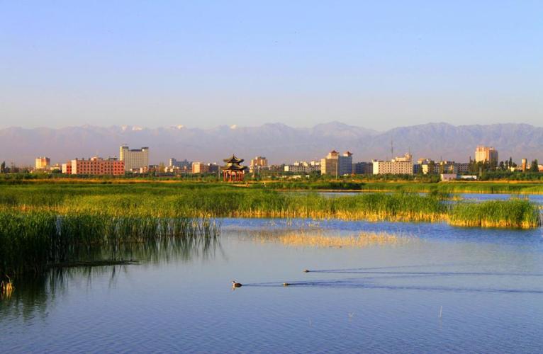 张掖国家湿地公园——湿地候鸟