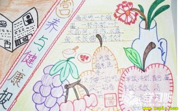 学生营养手抄报内容