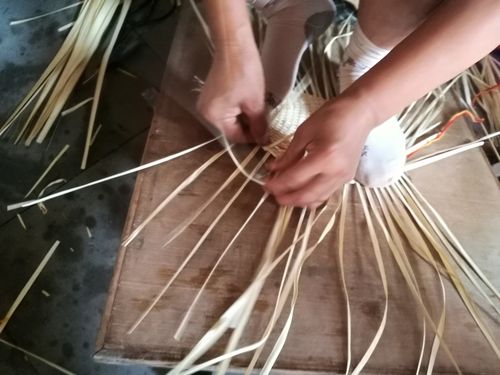 在炎炎夏日中,手拿一把蒲扇扇着十分清凉 蒲扇的制作过程       1.