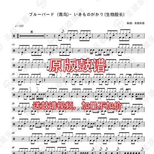 火影忍者主题曲青鸟-いきものがかり生物股长鼓谱送消音无鼓伴奏