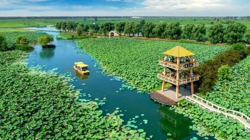 几首古诗,带您游览宝应射阳湖!