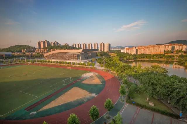 重庆科技学院             现有教职工1531人,其中专任教师1122人