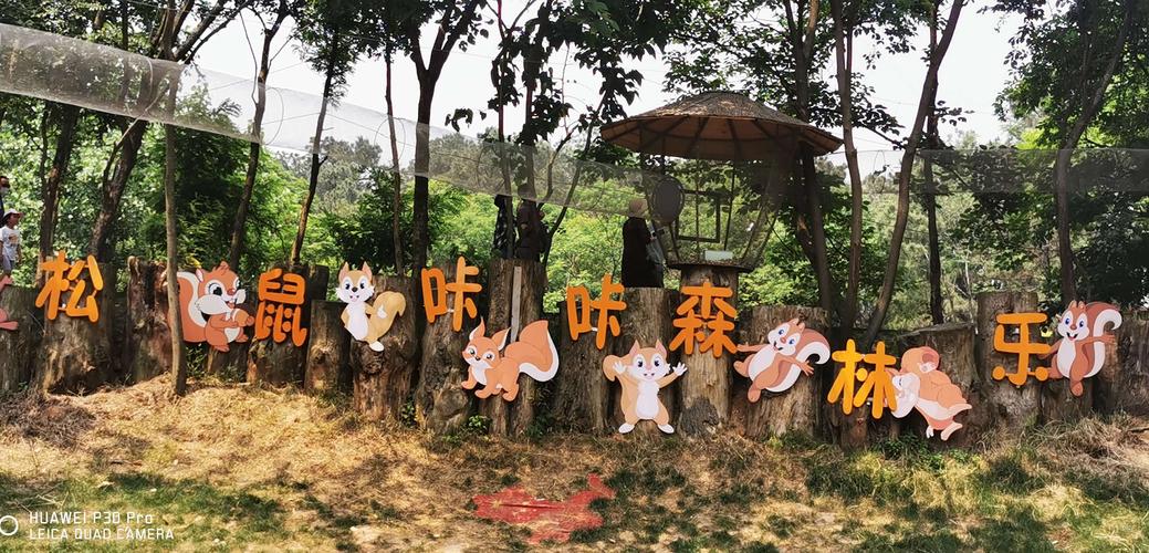 松鼠咔咔森林乐园