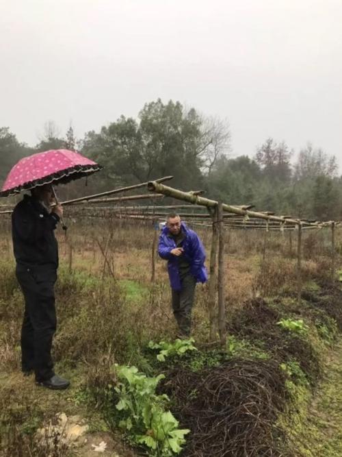 东安县横塘镇白滩河村7组村民荣某先后用捕猎夹子和网兜捕获野生果子