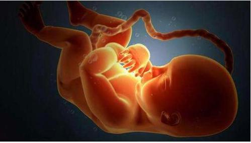 怀孕38周生的宝宝跟40周生的区别大吗,这两周胎儿发育