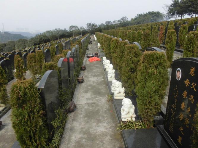 妈妈墓地照片黄龙溪莲花山公墓开车经过墓地父母碑文精选三公墓鸟瞰
