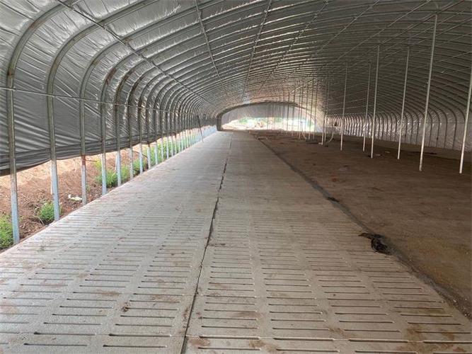 现代化养猪大棚价格欢迎来电多图