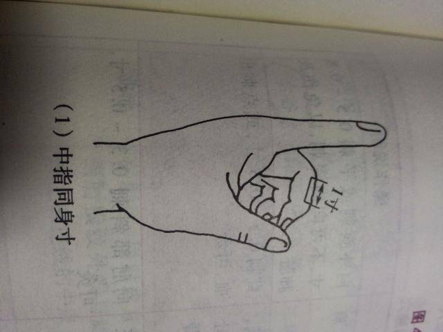 2, 拇指同身寸 即指拇指指关节之横度作为1寸.