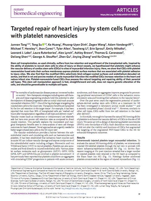 英文文献targeted repair of heart injury by stem cells fused with