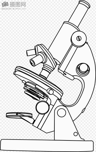 花瓣 举报 标签: 光学免费图片免费插画免费矢量图放大率显微镜研究