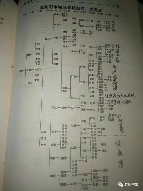 赵氏家谱资料收集